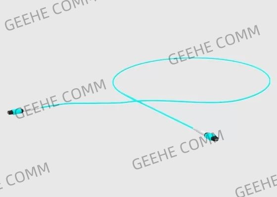 Vor beendetes 2M 40G 16F MPO Stamm-Kabel