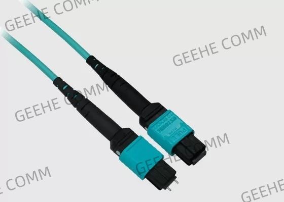 Vor beendetes 2M 40G 16F MPO Stamm-Kabel