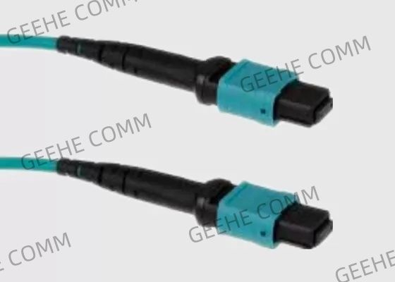 Vor beendetes 2M 40G 16F MPO Stamm-Kabel