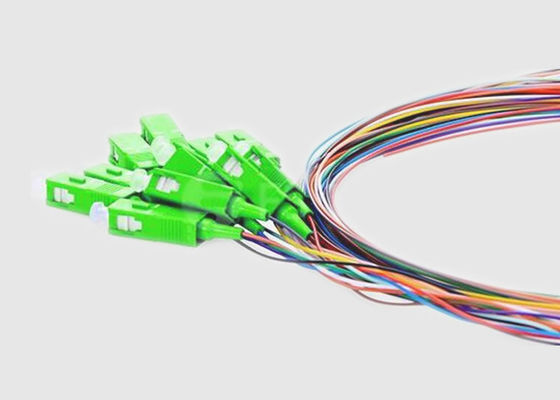 Monomode- 12 entkernt LSZH 0.9mm Zopf Sc UPC