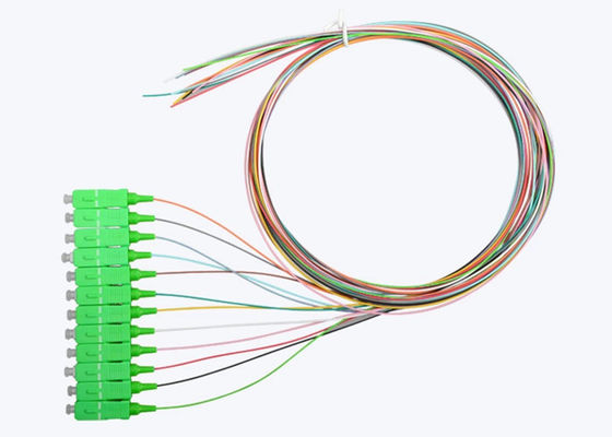 Monomode- 12 entkernt LSZH 0.9mm Zopf Sc UPC