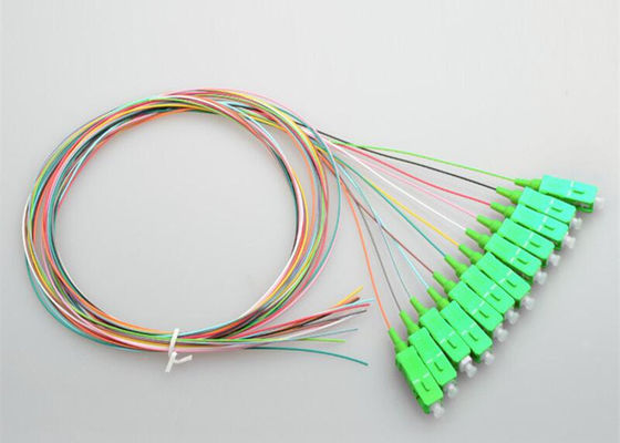 Monomode- 12 entkernt LSZH 0.9mm Zopf Sc UPC
