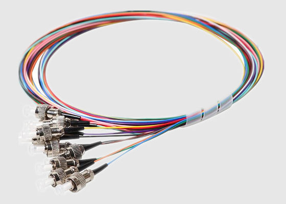 12 Farbe lockern der Faser-12 heraus Zopf FC 2M Single Mode Fiber auf