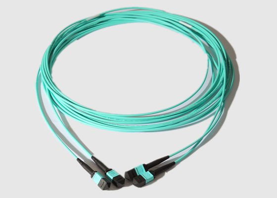 12 Stamm-Kabel des Kern-OM4 MTP