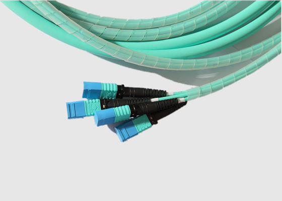 12 Stamm-Kabel des Kern-OM4 MTP
