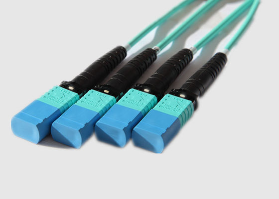 12 Stamm-Kabel des Kern-OM4 MTP